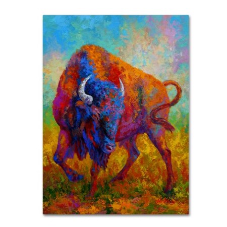 Marion Rose 'Bison Bull 1' Canvas Art,35x47